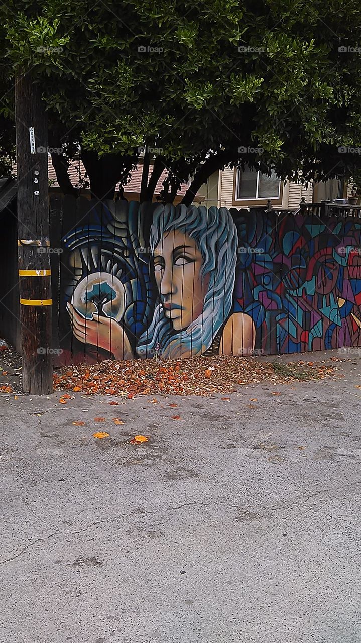 Tree  globe. Riding my bike through the alley