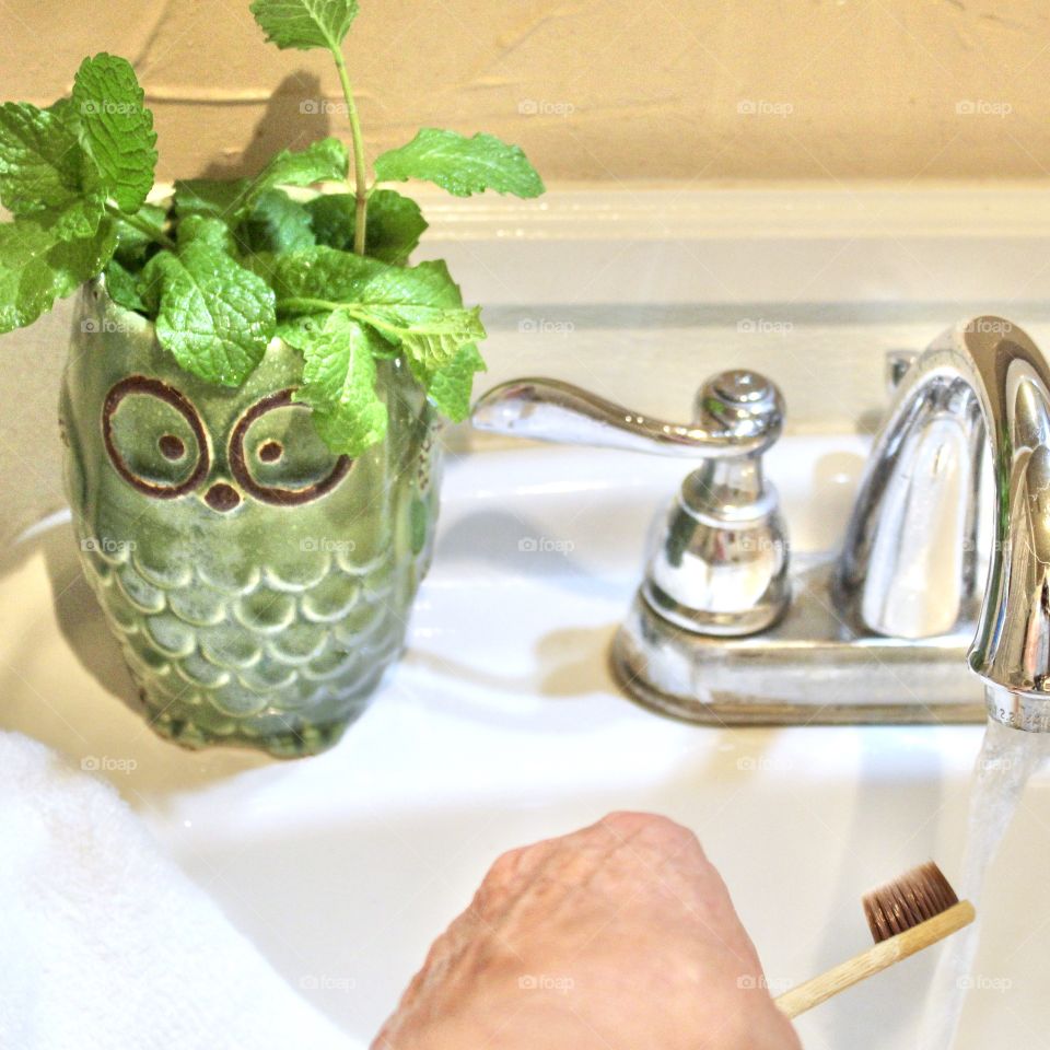 Owl planter with natural toothbrush and hairbrush, sustainable 