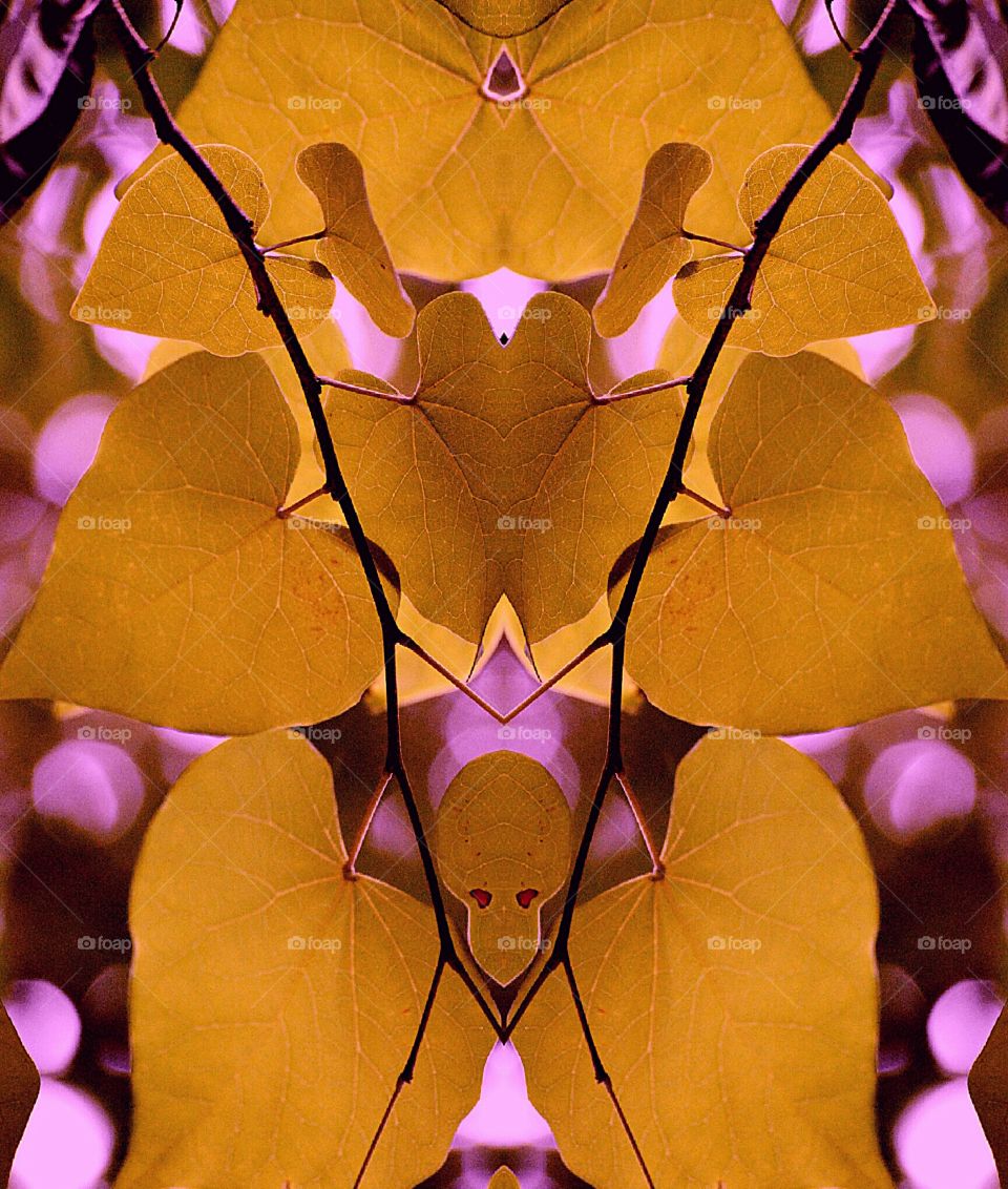 Mirrored Leaves