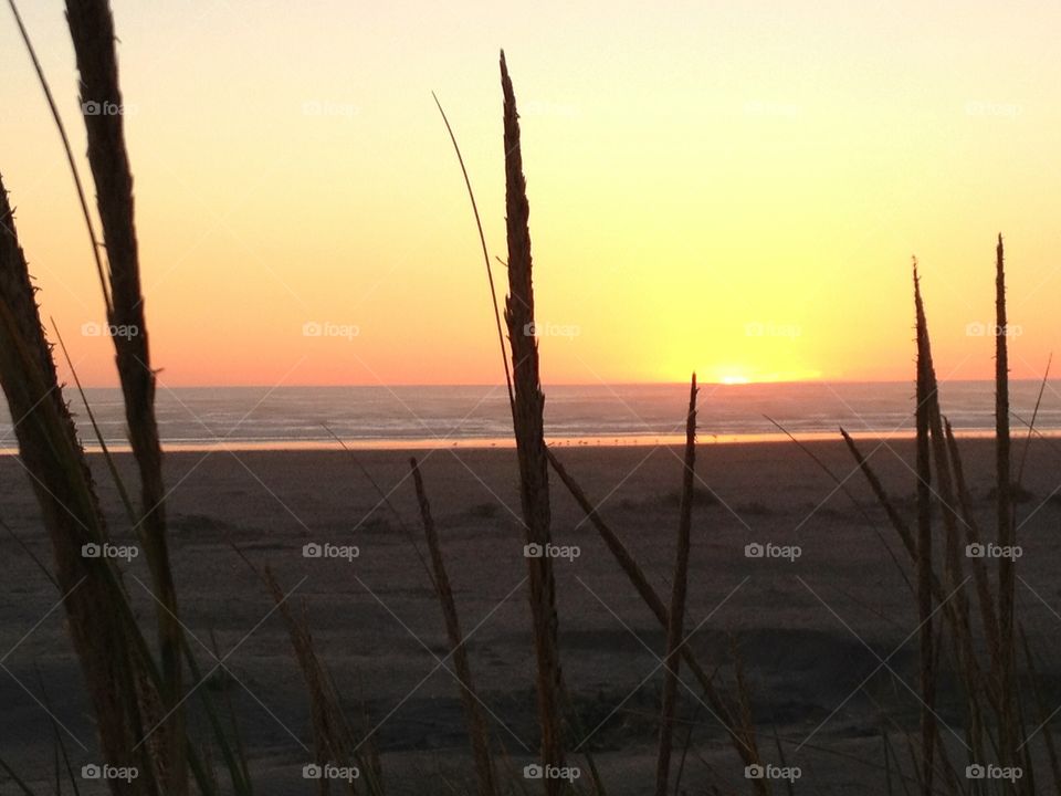 Ocean sunset. Sunset Washington Coast 