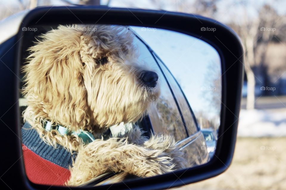 Objects in the mirror are closer than they appear