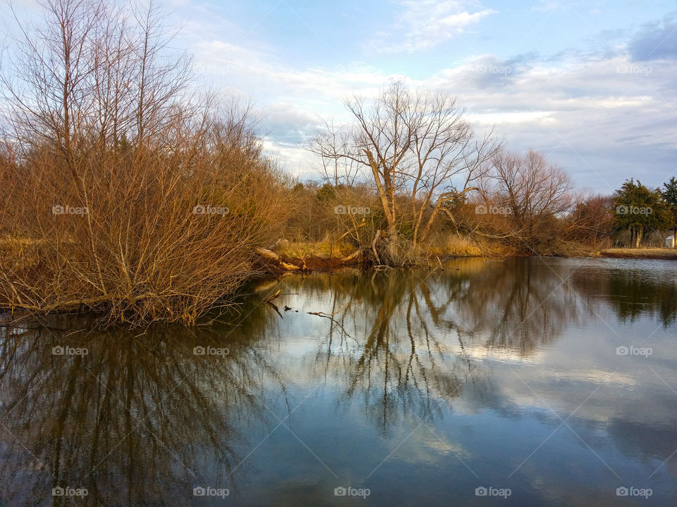 A beautiful winter's day reflection of trees blue sky and clouds on a pond