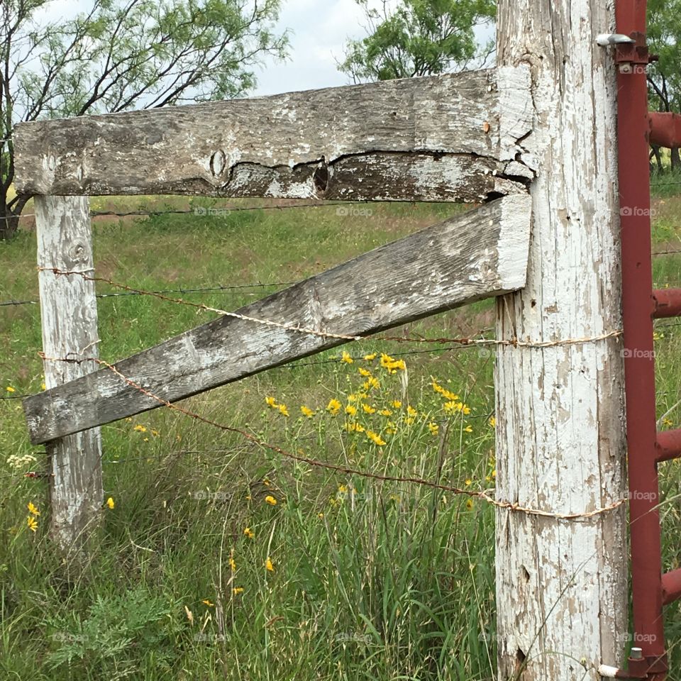 Broken fence 