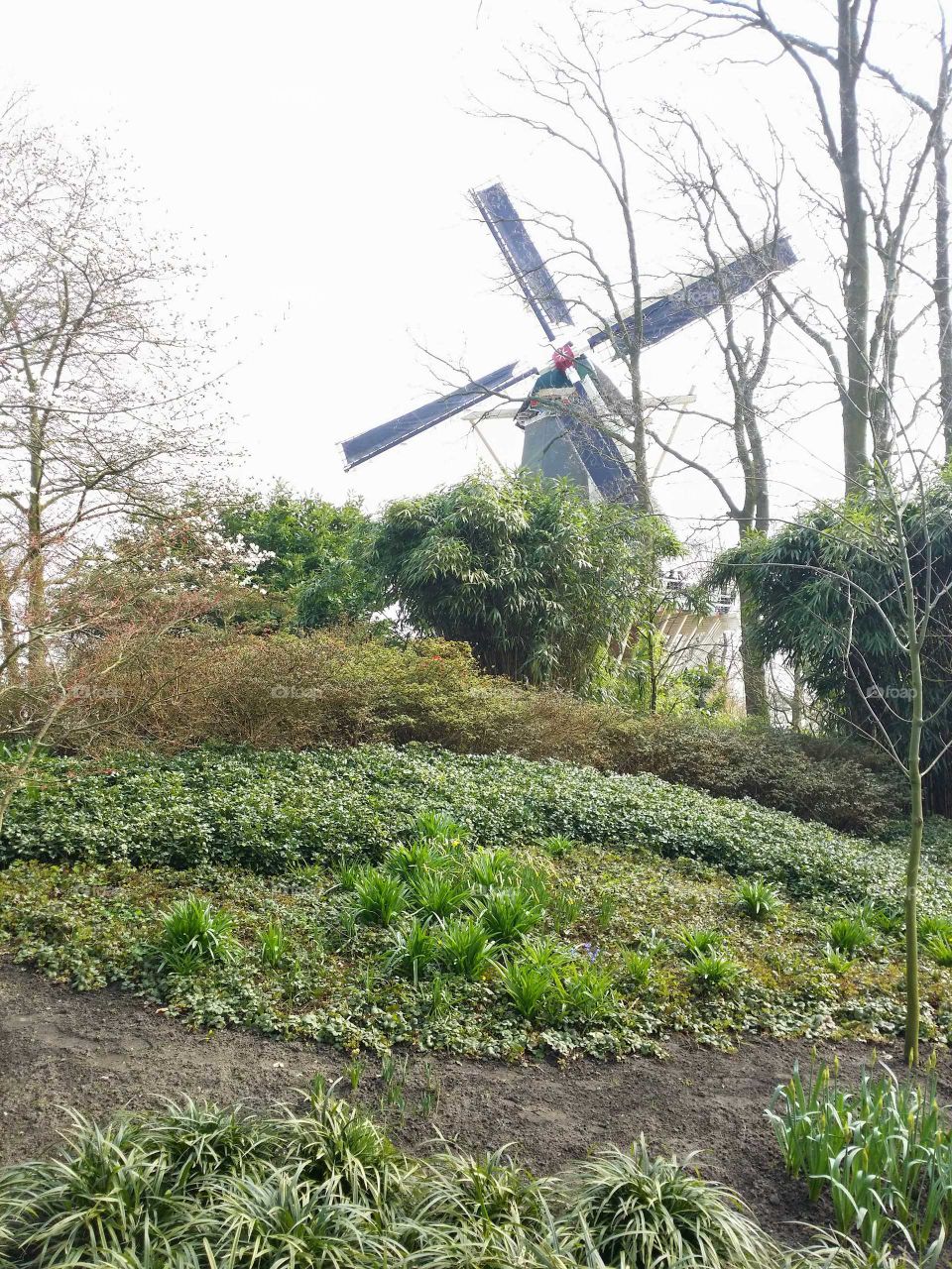 windmill in the park