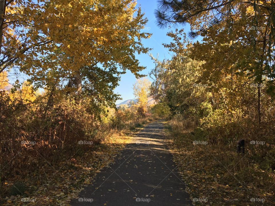 Fall trail 