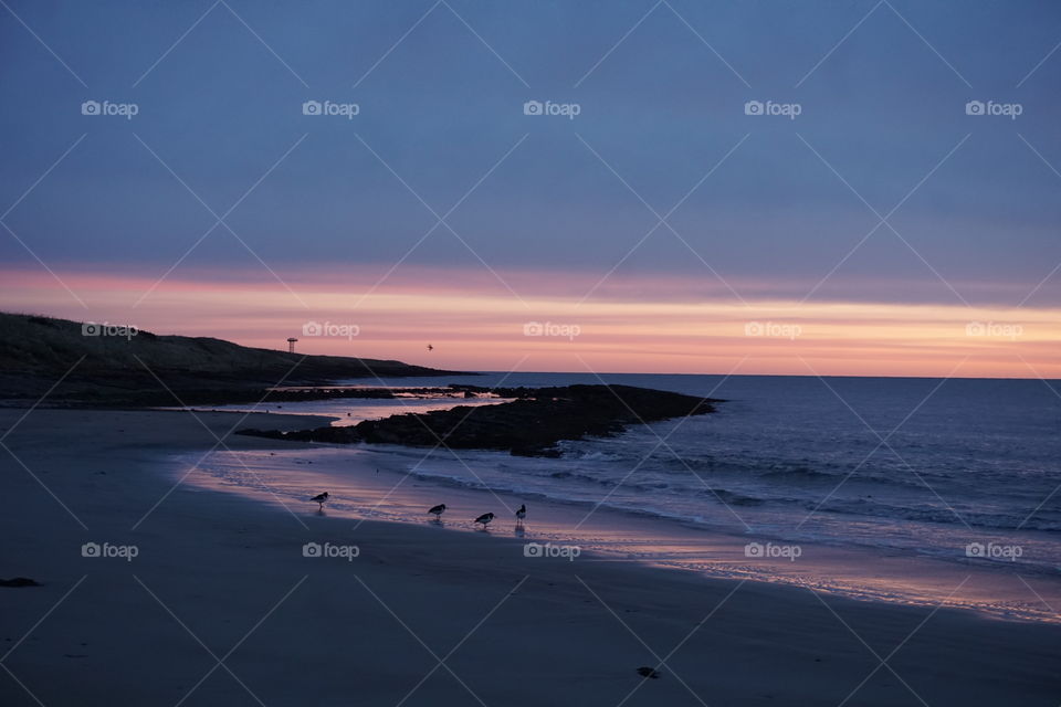 Northumberland Sunrise 