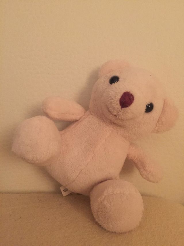 Nice Man Teddy Bear
