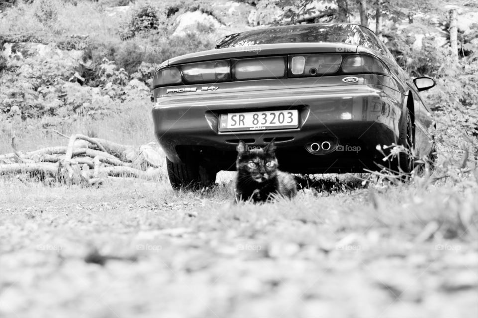camaro the cat and ford probe 2.5 v6 1995