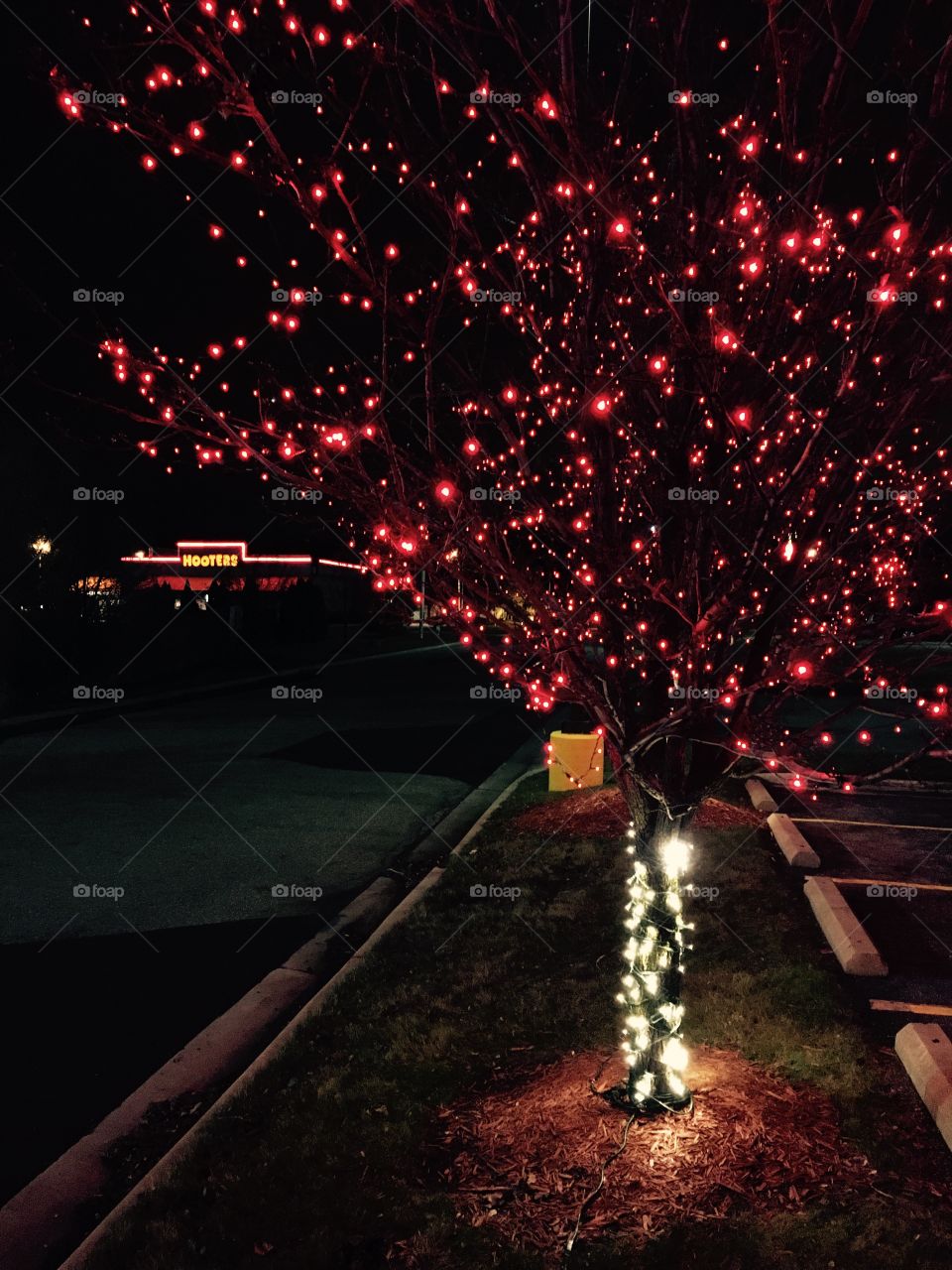 Hooters Xmas tree