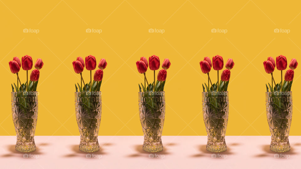 Pattern of red tulips in glass vase on dual tone background