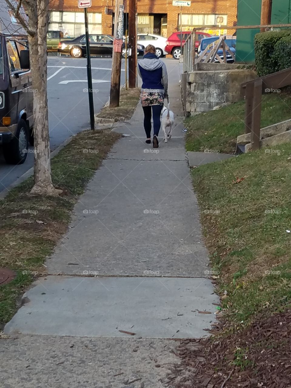 Road, Pavement, Environment, Street, Calamity