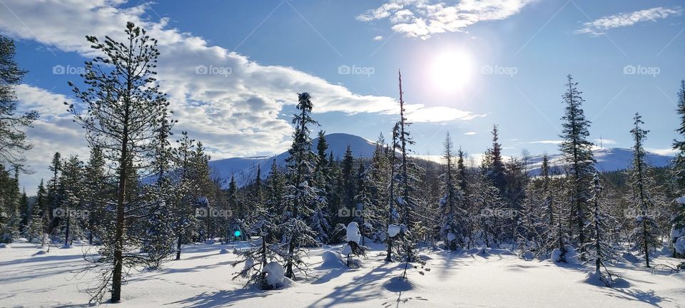It's starting to look like spring in Lapland, Finland!