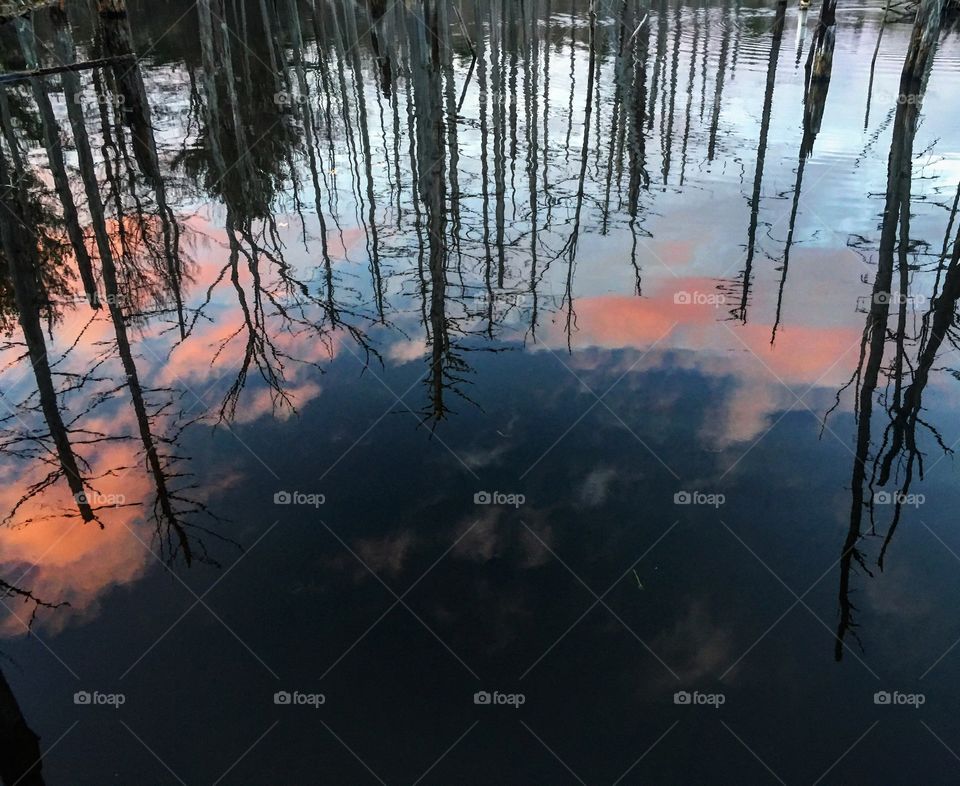 Pink clouds in water