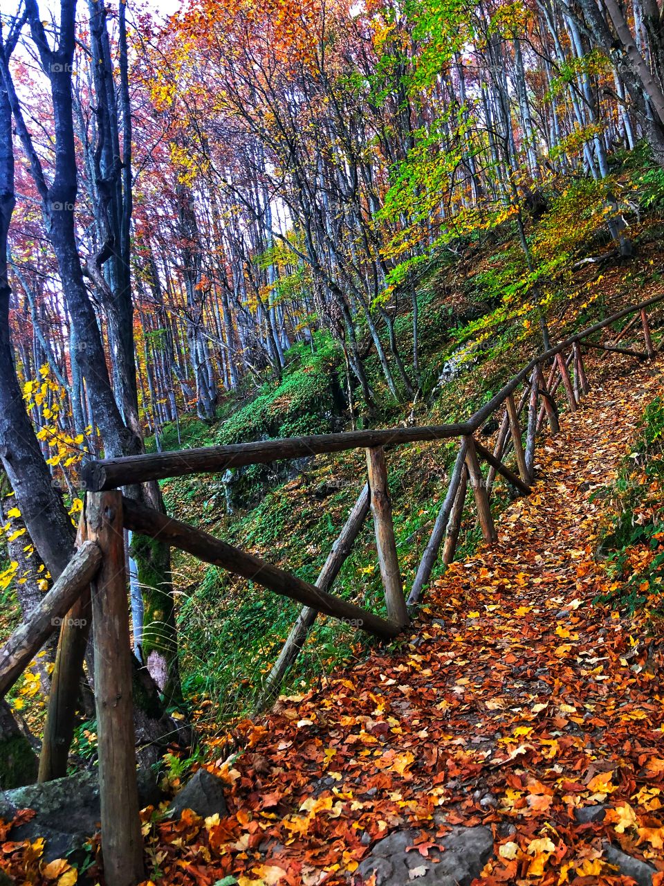 Trail in the mountains