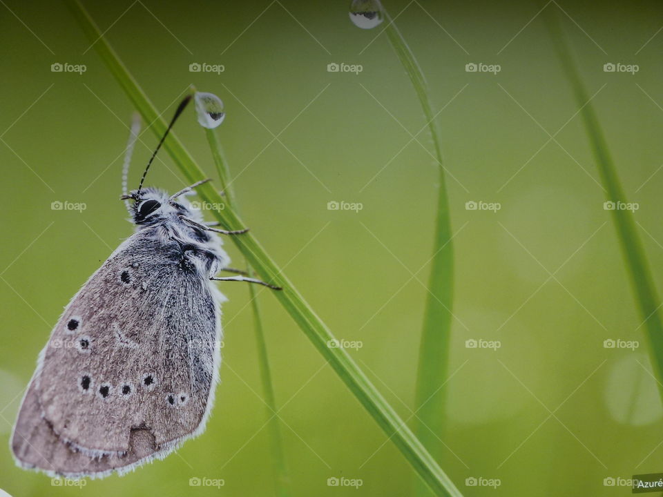 In The heart of nature