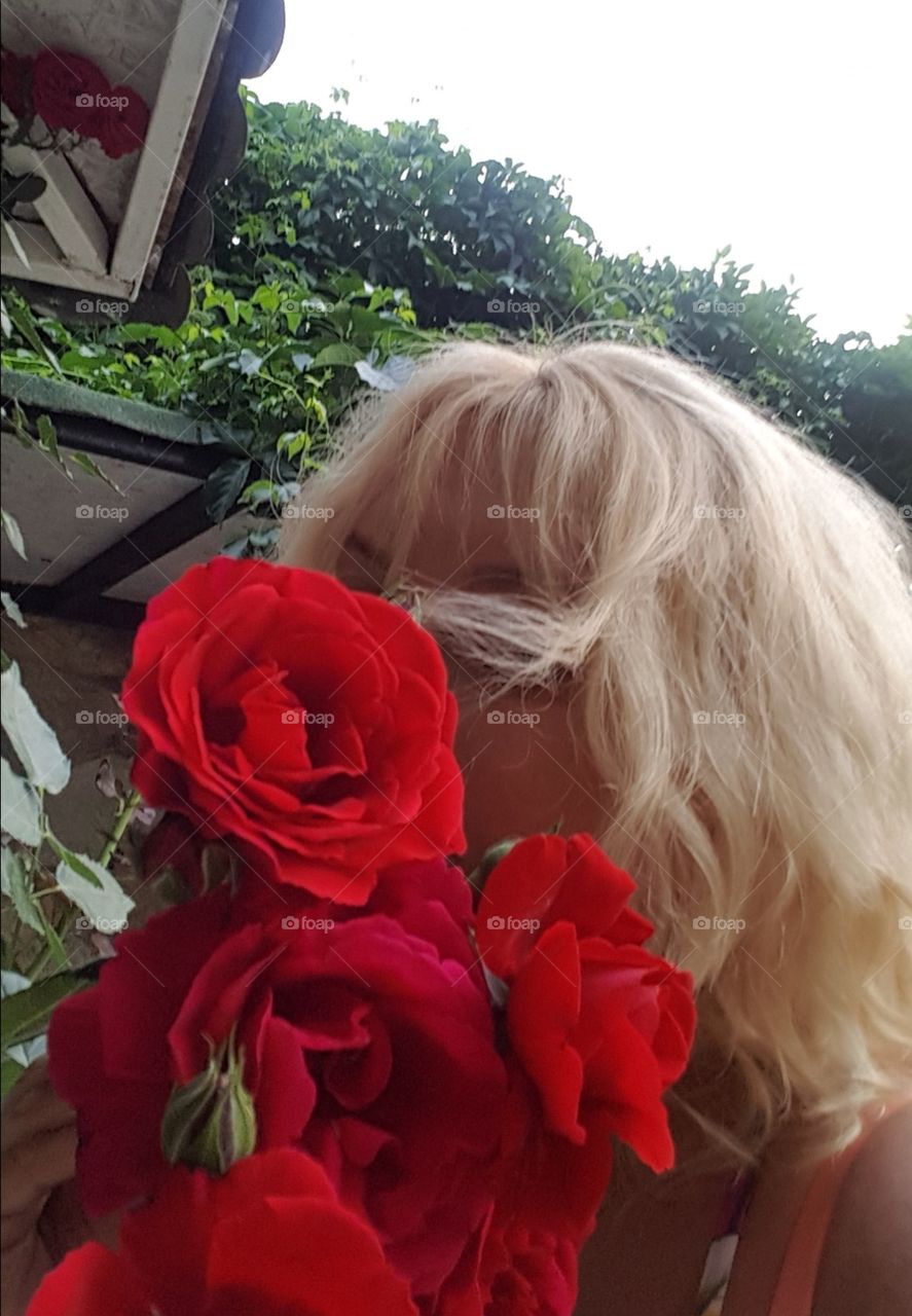 red roses