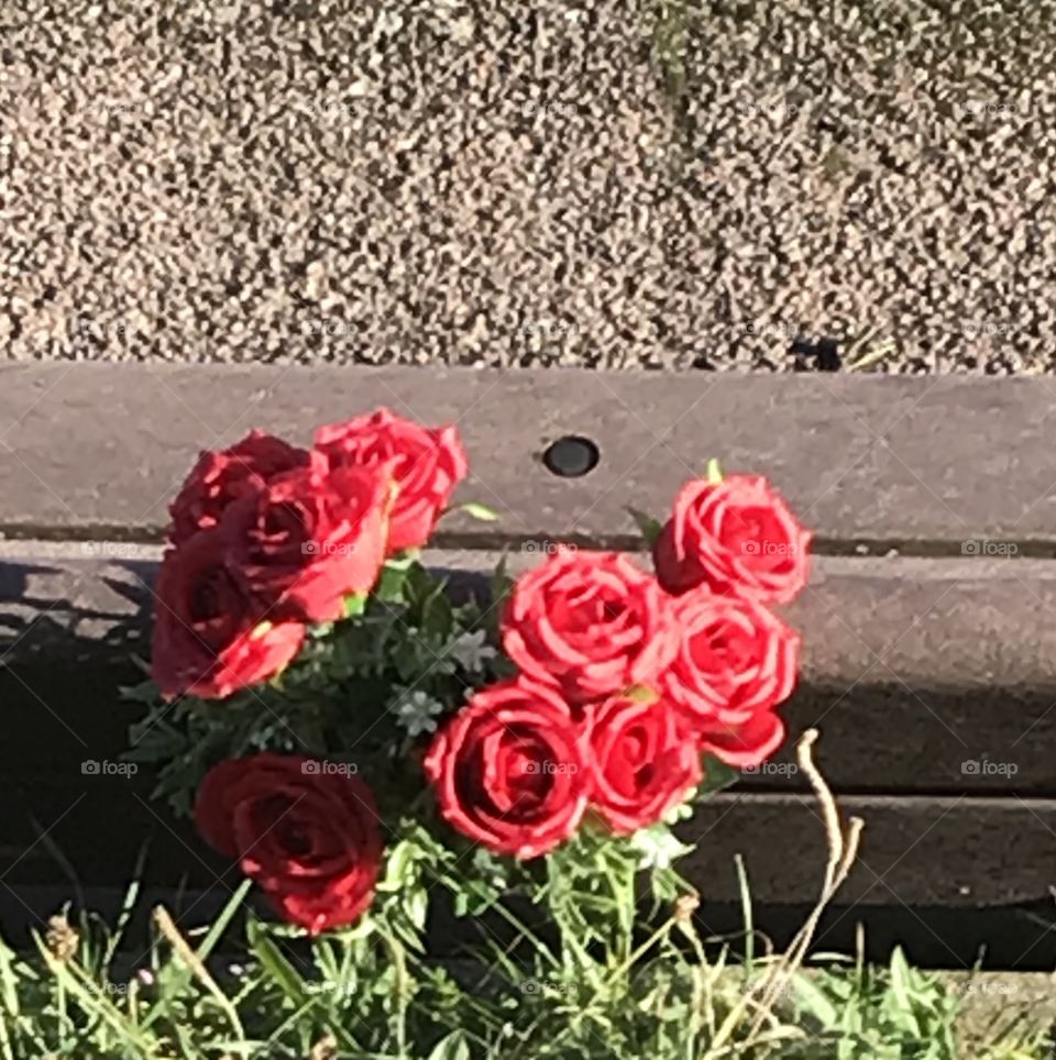 Roses to remember loved one