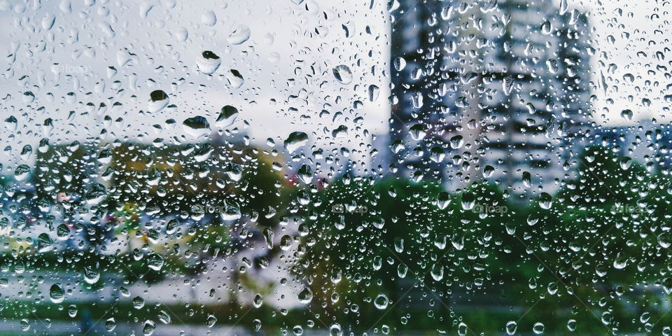 raindrops on the glass