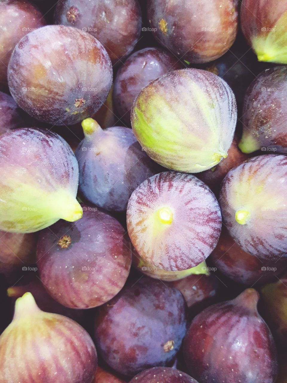 Figs