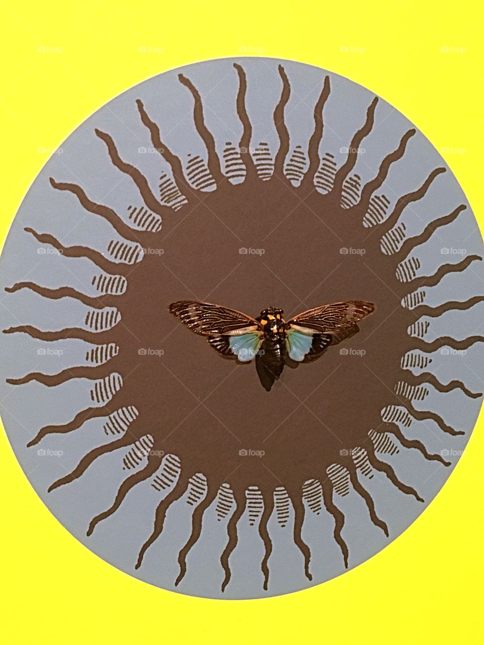 We visited a museum in Shelburne Vermont that had an art exhibit that was made up completely of insects. This is a small sampling. It was weird, beautiful, gross and interesting all at the same time.