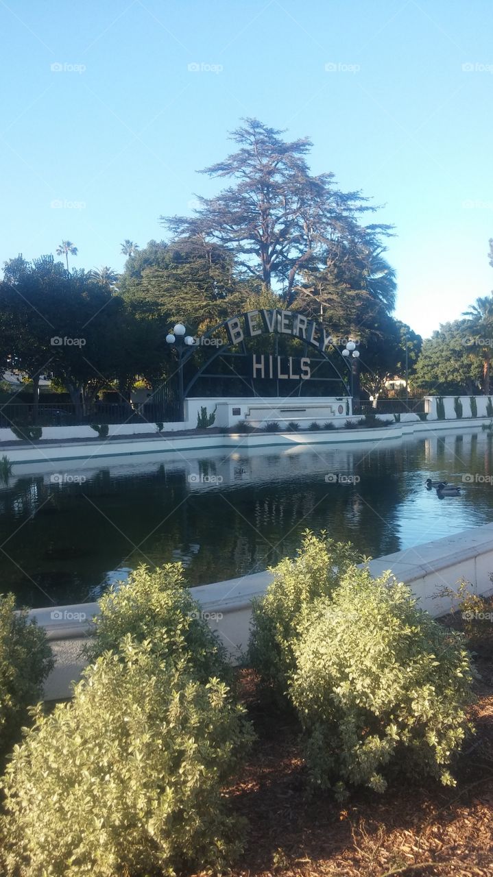 Bev Hills 