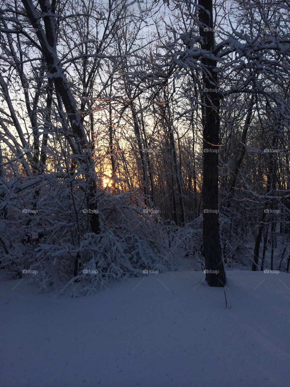 MN Snow. Winter Sunset