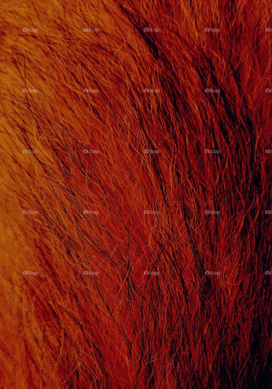 Textured expression of Color