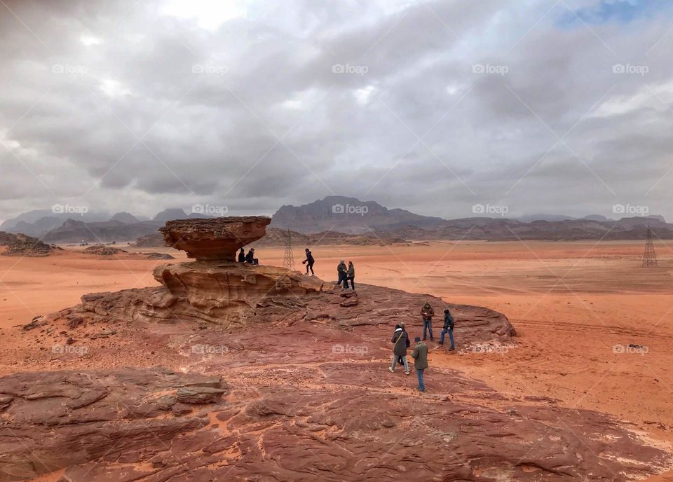 Friends in the desert 