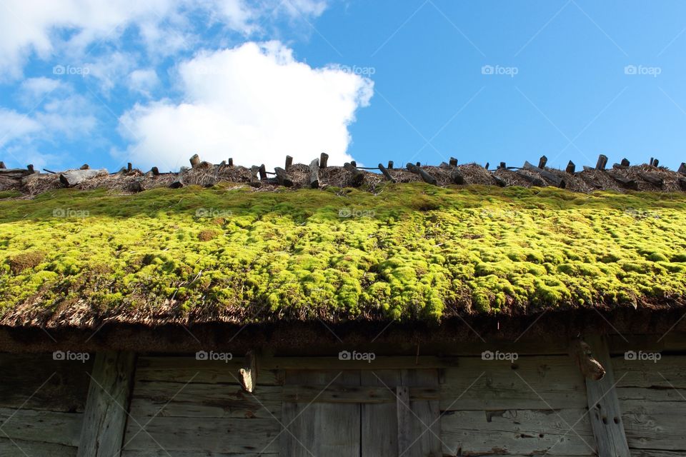 Old roof with grass