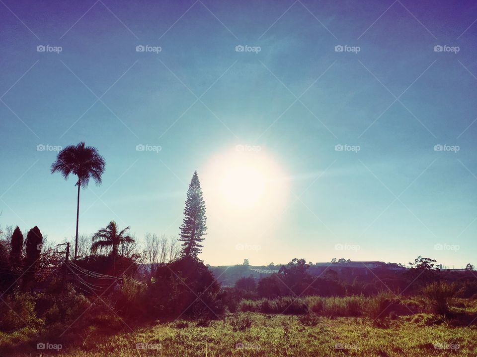 🇧🇷 O sol muito bonito no amanhecer caipira de Jundiaí, no interior do Brasil.

🇺🇸 The very beautiful sun in the hillbilly dawn of Jundiaí, in the interior of Brazil.