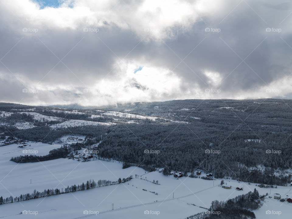 Winter Landscape