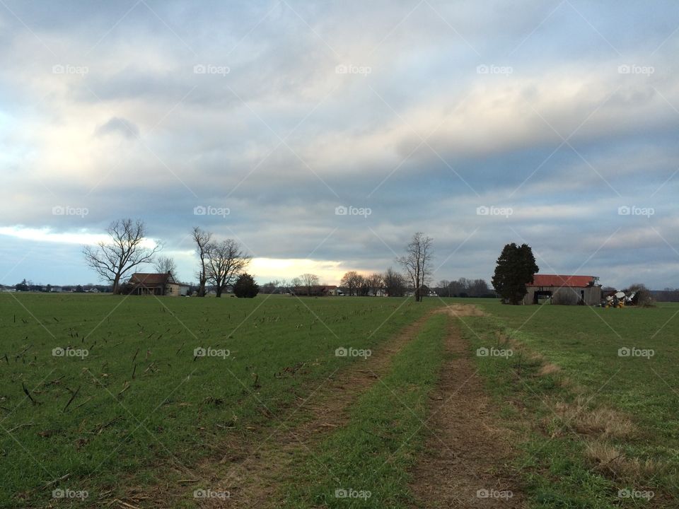 Dirt Road to the Old Farm