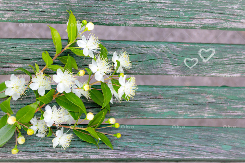 Spring bouquet with blooming white flowers on a bench with hearts drawn in chalk. The concept of youth and love. Spring mood