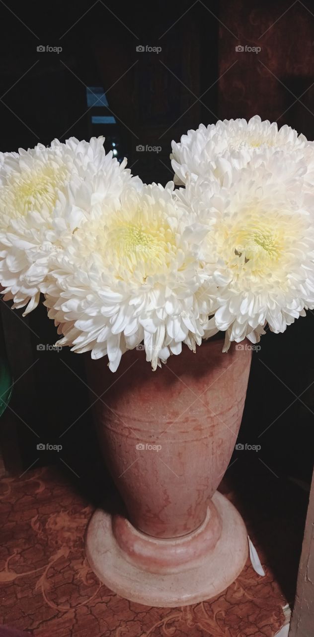 Light: Natural vs artificial