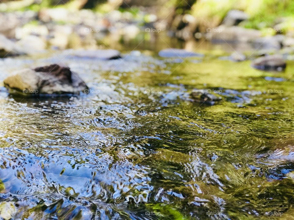 Fresh flowing stream 