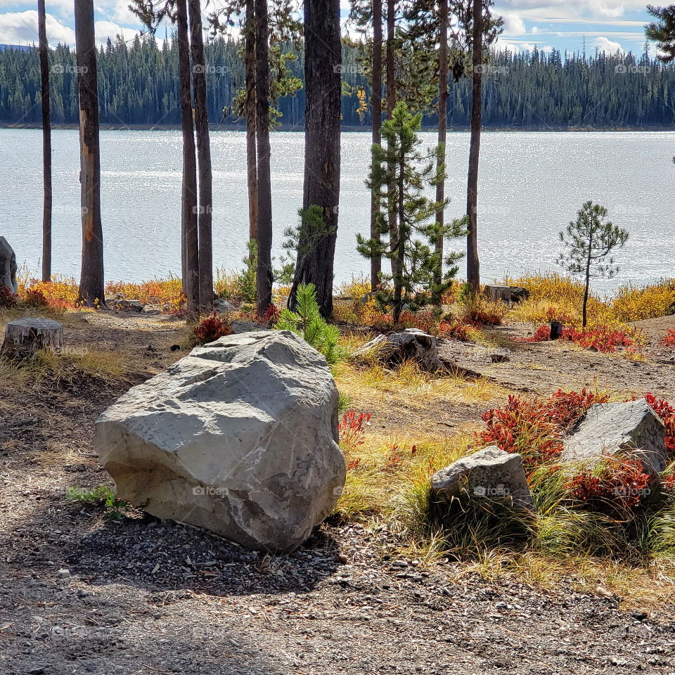 Brilliant fall colors of a landscape on the shores of Elk Lake in Oregon’s Cascade Mountains