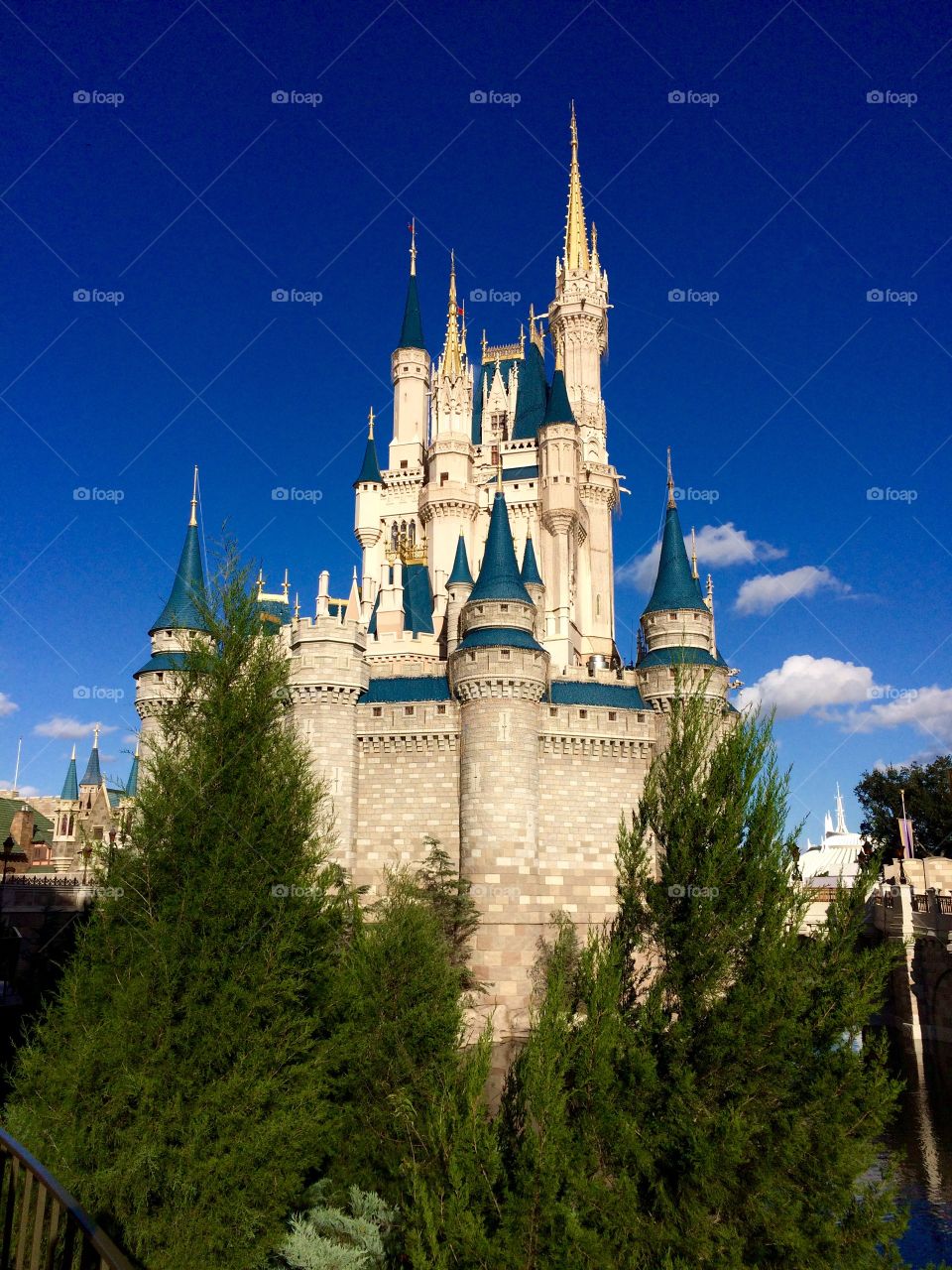 Cinderella's castle 