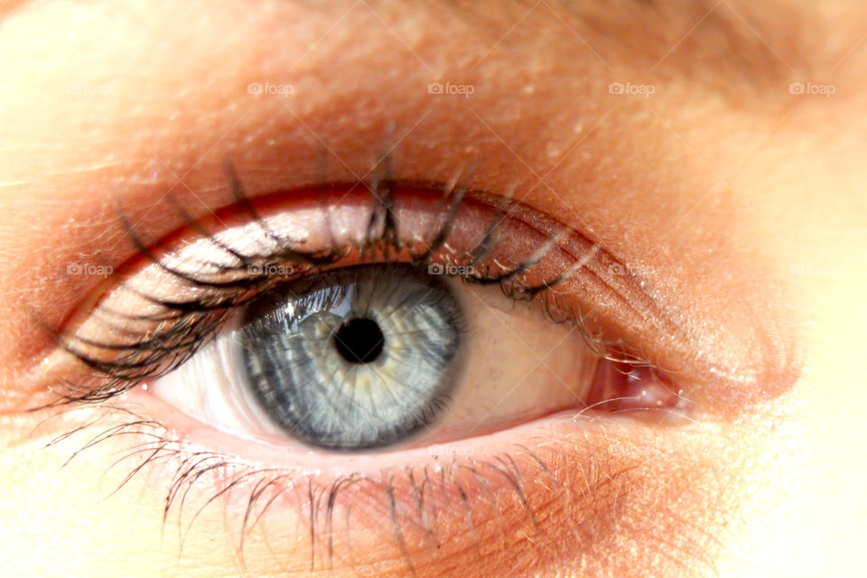 Extreme close-up of human eye