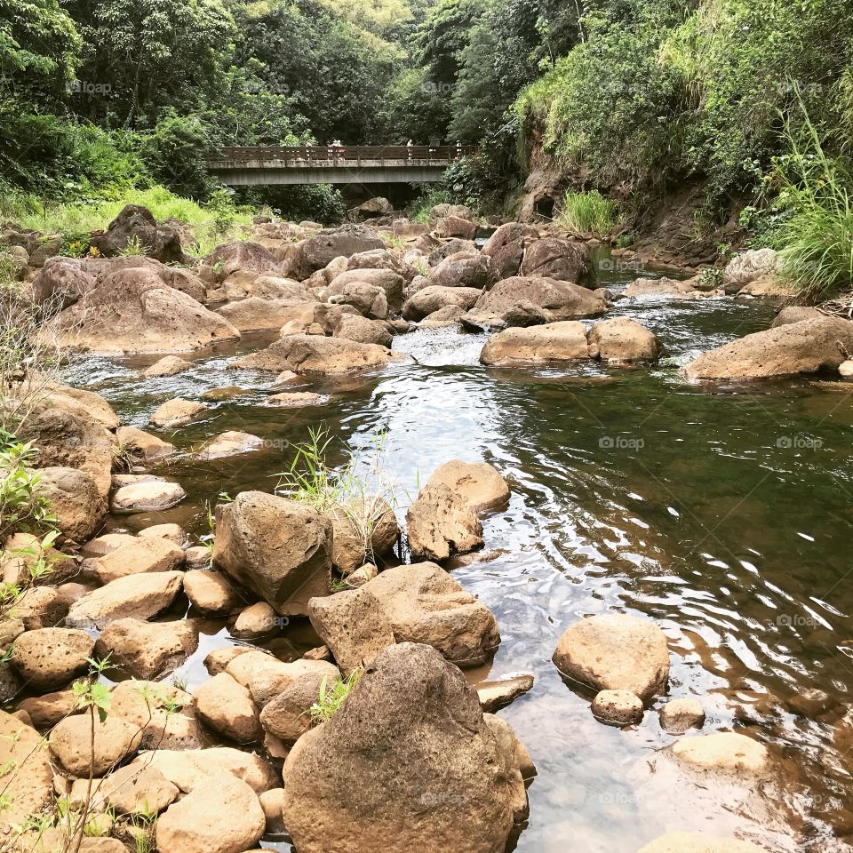 Waimea Valley, Oahu, Hawaii. Serenity and calmness ring true from this photo. Water trickling past the rocks, winding its way out to the Pacific. Lush, green, beautiful nature surrounding. 