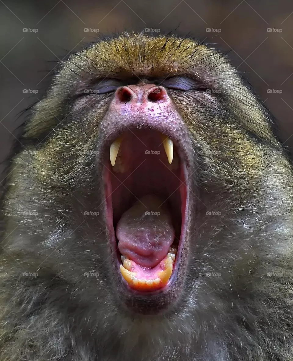anger