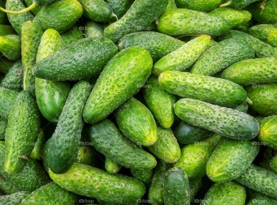 cucumbers огурцы