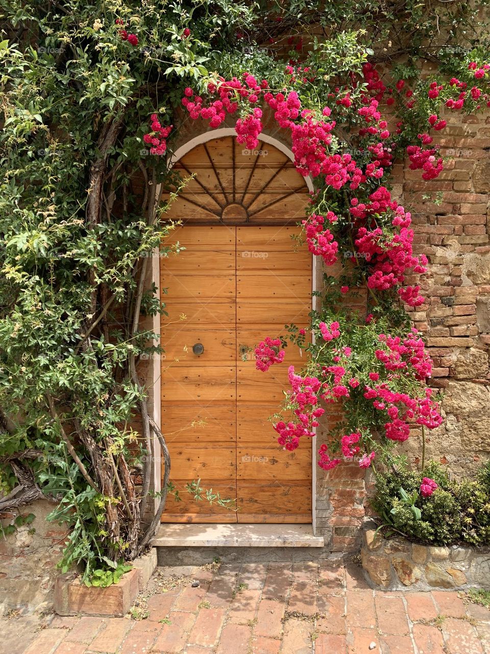 a romantic front door surrounded by a blooming rose