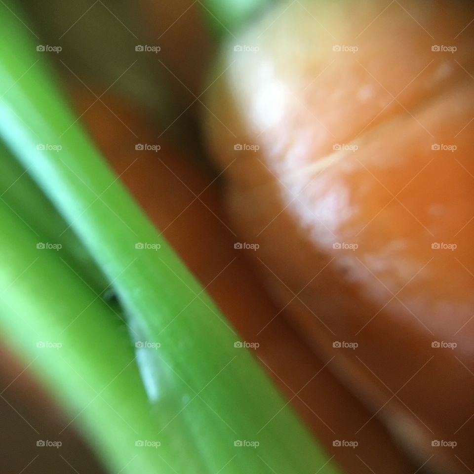Carrot close up