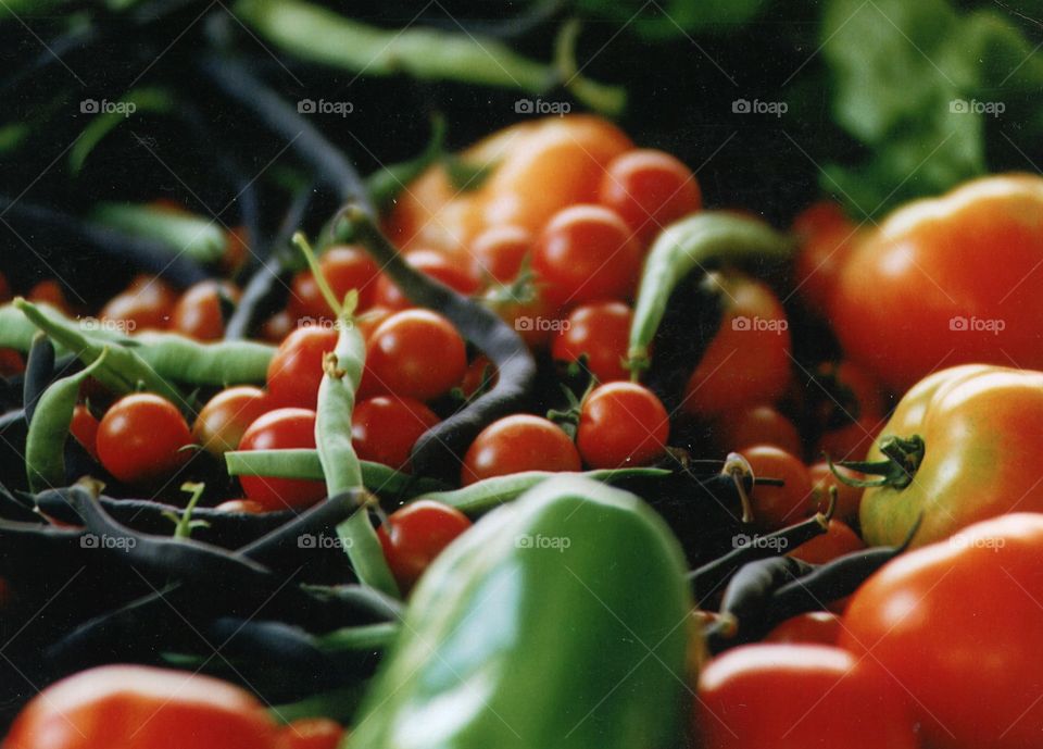 Harvest Time cherry tomatoes string beans peppers Garden