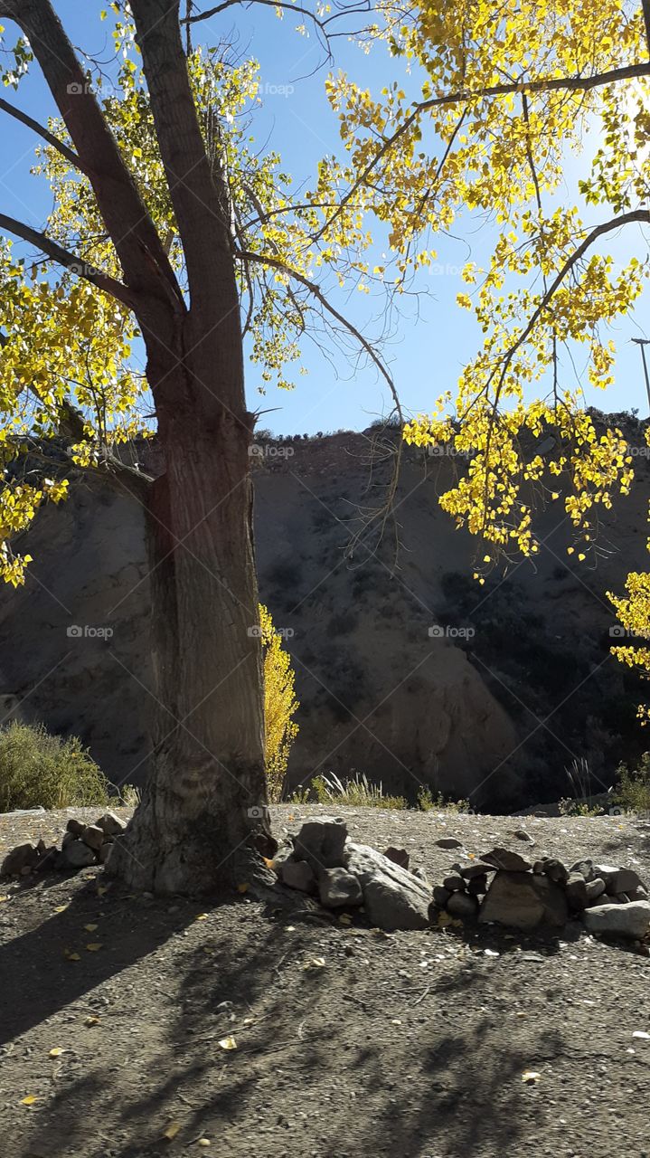 Otoño en la montaña