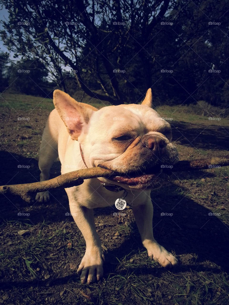 stick joy