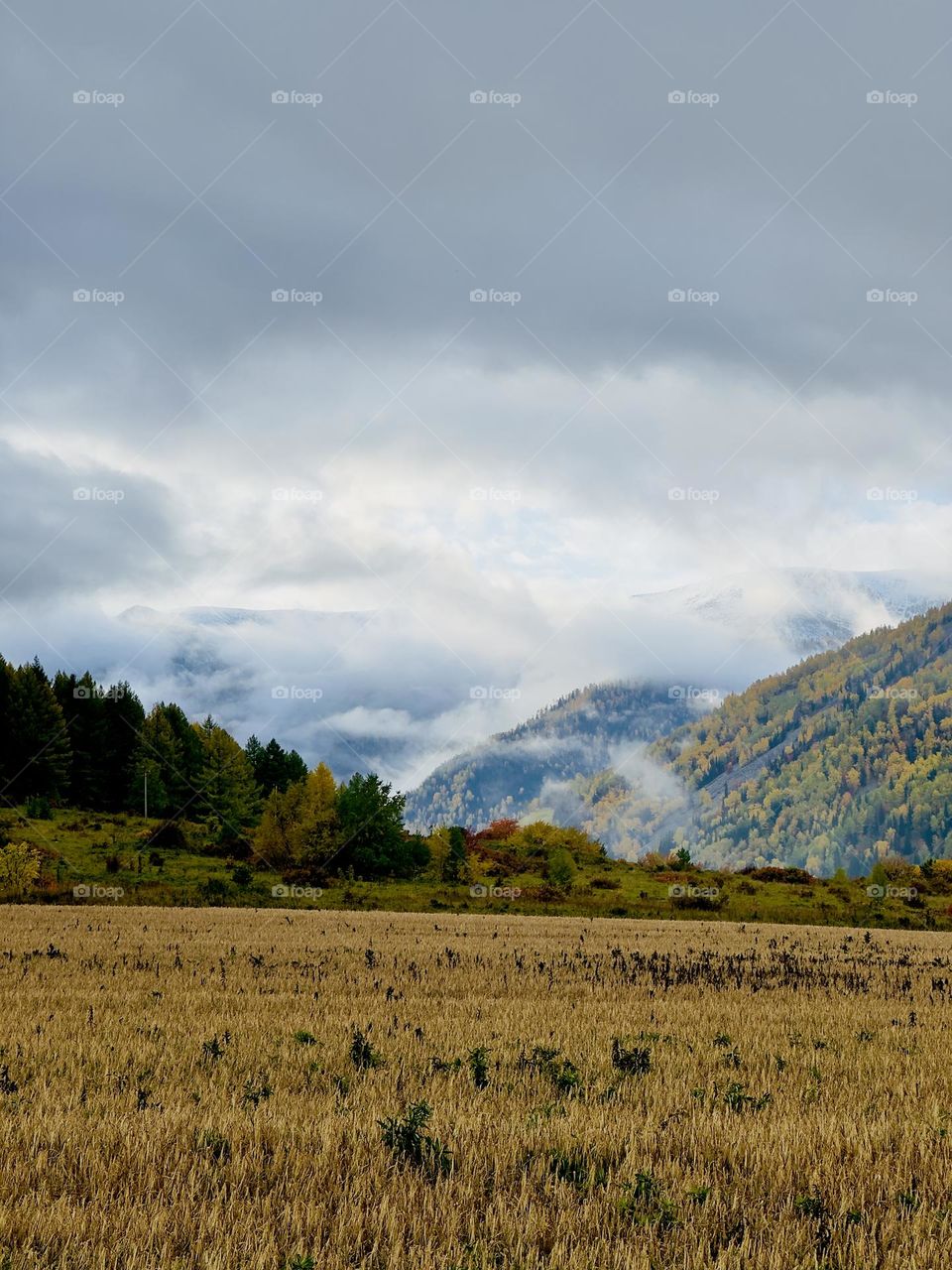 autumn colors