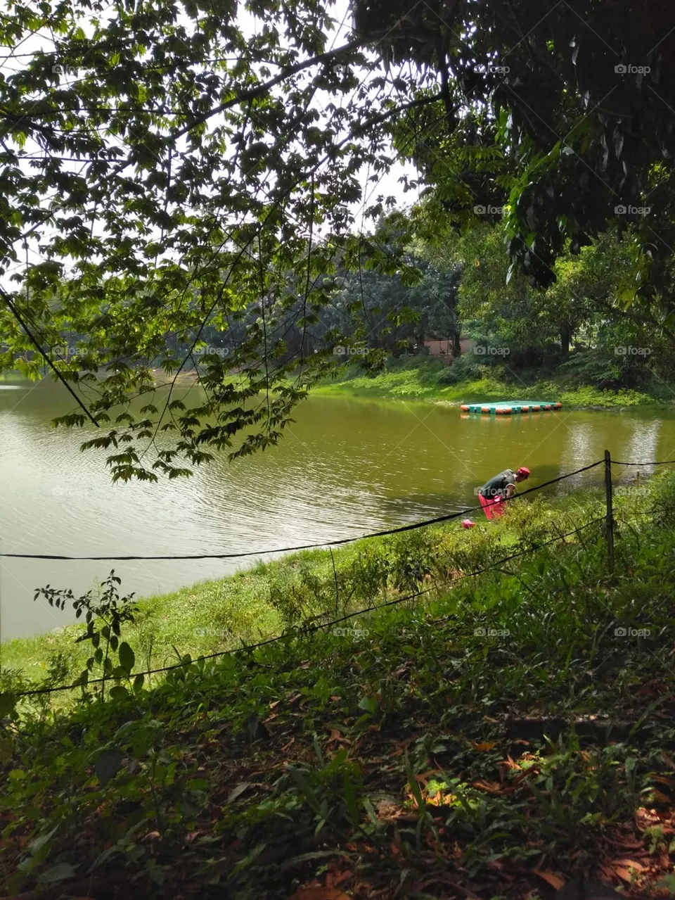 lake