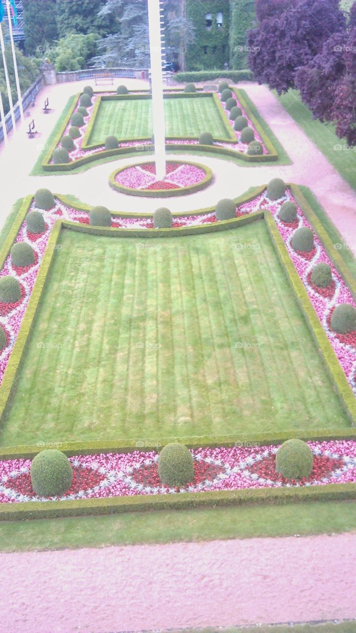 Carpet
