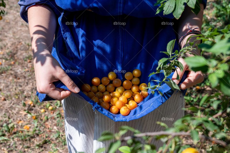 Complementary Colors